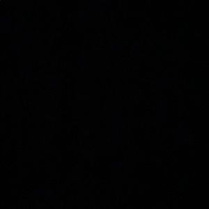 Meet your Posher, Scarlett